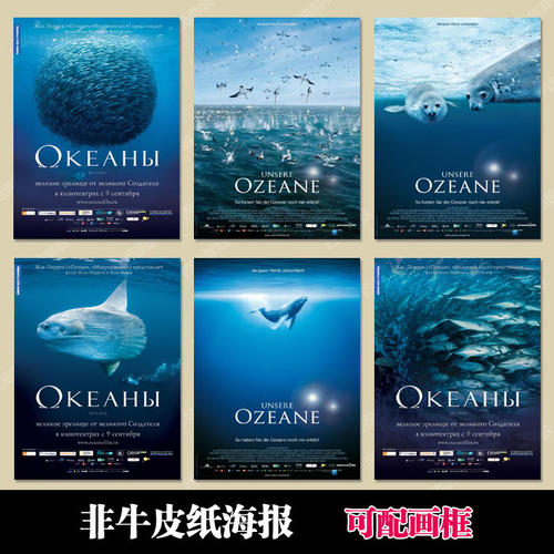 施尔布鲁克大学本科毕业证